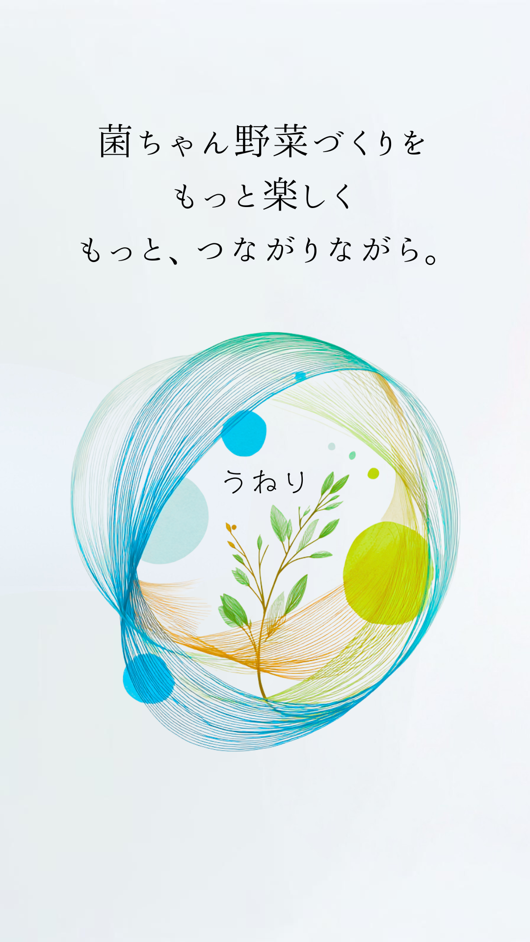 うねりについて | うねり